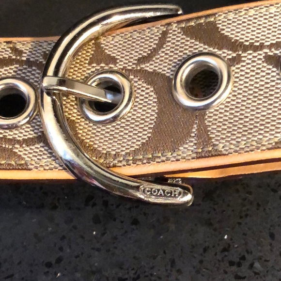 Coach Belt - Picture 2 of 4
